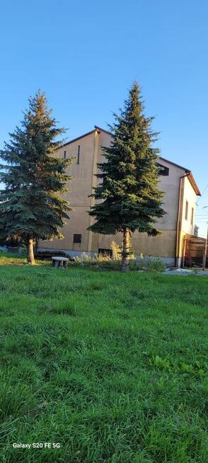 Komfortowy dom z potencjałem, działka 1381 m2