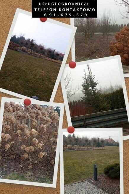 Usługi ogrodnicze - zakładanie i pielęgnacja ogrodów itp.