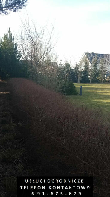 Usługi ogrodnicze - zakładanie i pielęgnacja ogrodów itp.
