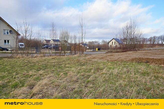 DZIAŁKA W STARZYŃSKIM DWORZE