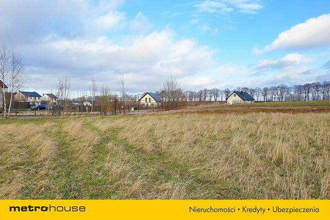 DZIAŁKA W STARZYŃSKIM DWORZE