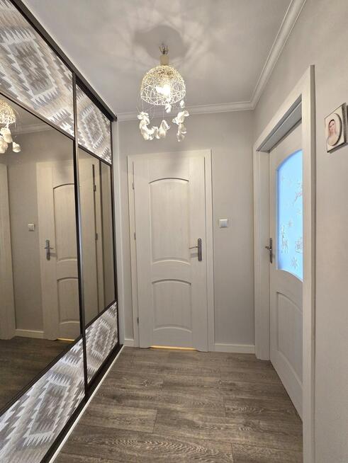 Piękne trzypokojowe blisko parku i uczelni