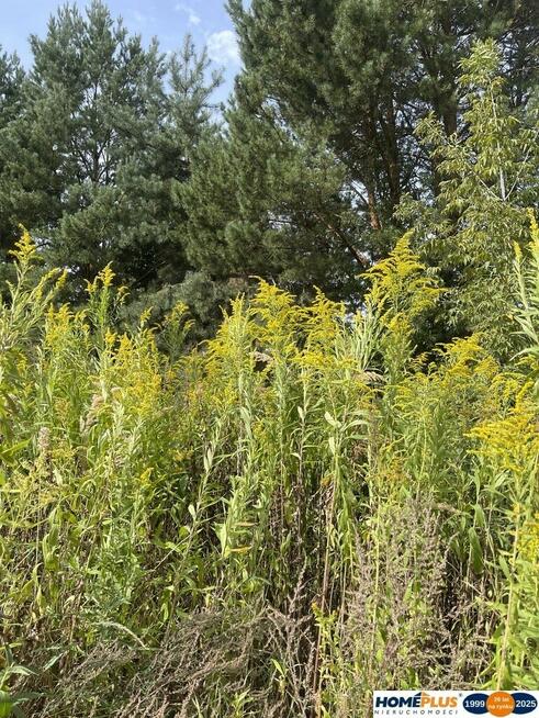 Działka budowlana 807 m², Słupno k. Radzymina