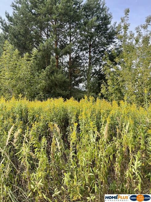 Działka budowlana 807 m², Słupno k. Radzymina