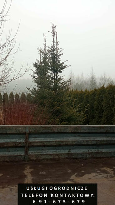 Usługi ogrodnicze - zakładanie i pielęgnacja ogrodów itp.