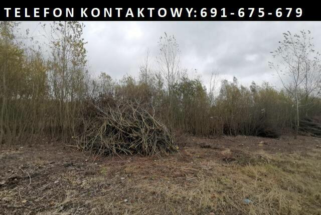 Usługi ogrodnicze - zakładanie i pielęgnacja ogrodów itp.