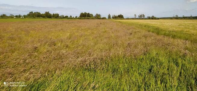 Sprzedam działkę rolną w Dębkach - PROMOCJA 38,31zł/m2