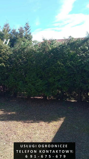 Usługi ogrodnicze - zakładanie i pielęgnacja ogrodów itp.