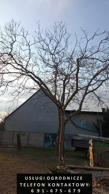 Usługi ogrodnicze - zakładanie i pielęgnacja ogrodów itp.