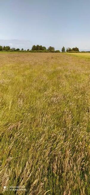 Sprzedam działkę rolną w Dębkach - PROMOCJA 38,31zł/m2