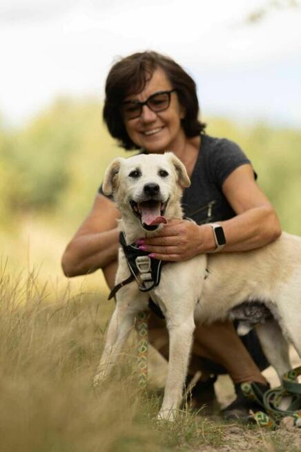 Pogodny, energiczny BORYSEK szuka domu !!