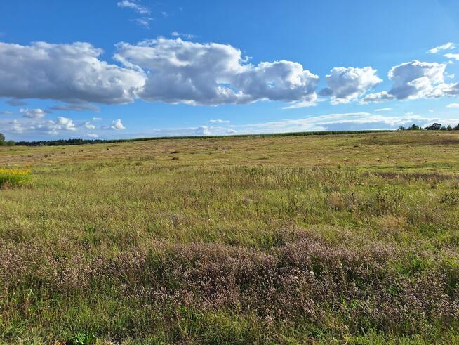 Sprzedam działki budowlane