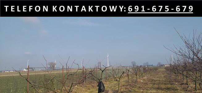 Usługi ogrodnicze - zakładanie i pielęgnacja ogrodów itp.