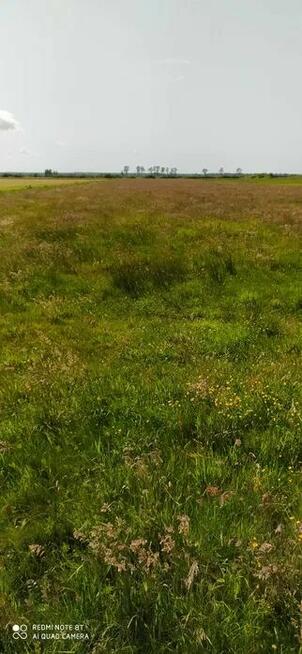 Sprzedam działkę rolną w Dębkach - PROMOCJA 38,31zł/m2