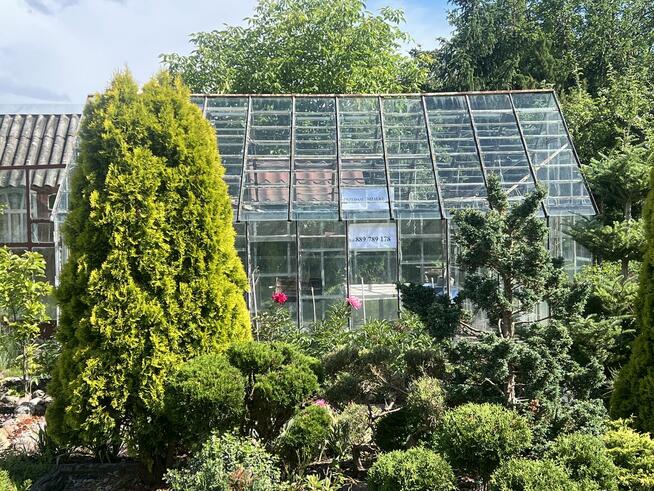 Sprzedam działkę ROD z klimatycznym ogrodem i szklarnią