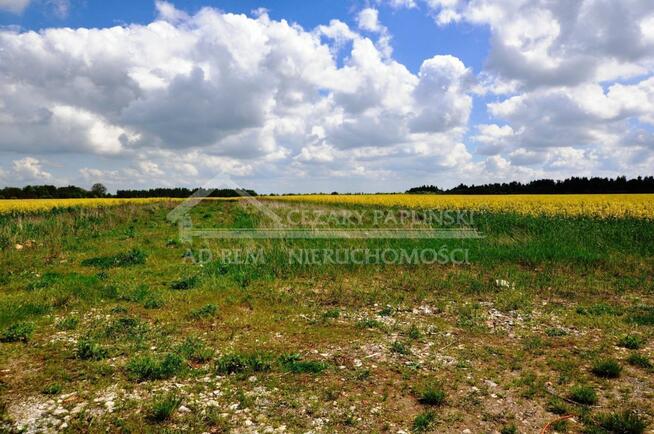 Działka budowlana Biała Podlaska, Biała Podlaska, Cicibór Duży, Rakowiska