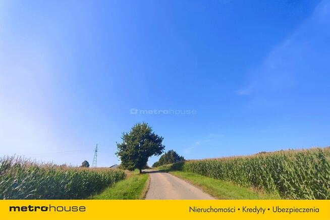 2505 m² - Ruptawa - Las i pełna prywatność