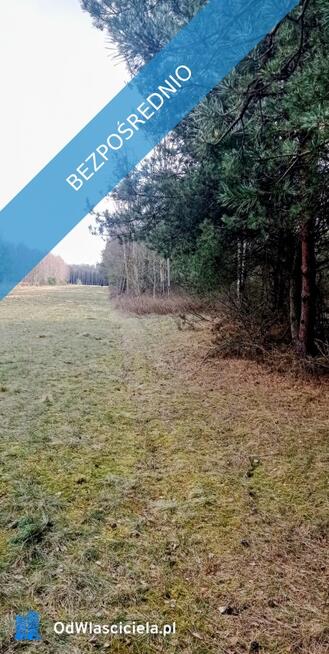 OKAZJA! Prywatny las 1,62 ha tylko 1h 15 min od Warszawy