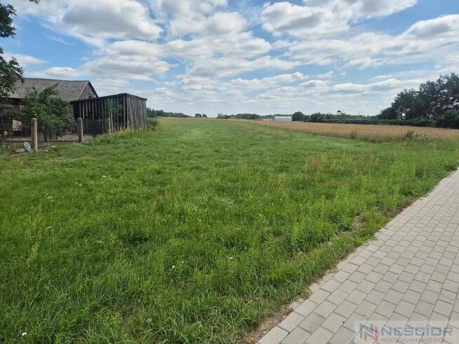 Działka rolno-budowlana / duża działka