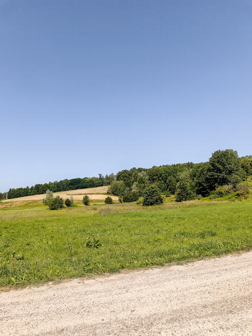 Działki o łącznej powirzchni 4,25 ha Joniny