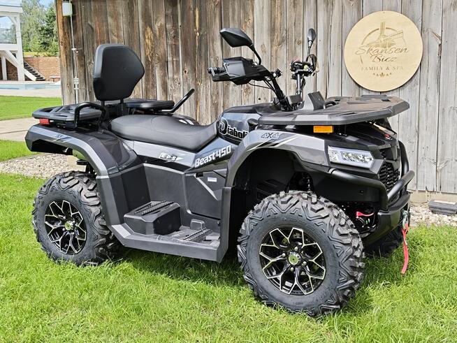 Diabolini Inny DIABOLINI BEAST 450 L Quad dużych rozmiarów 4x4 wspomaganie serwis