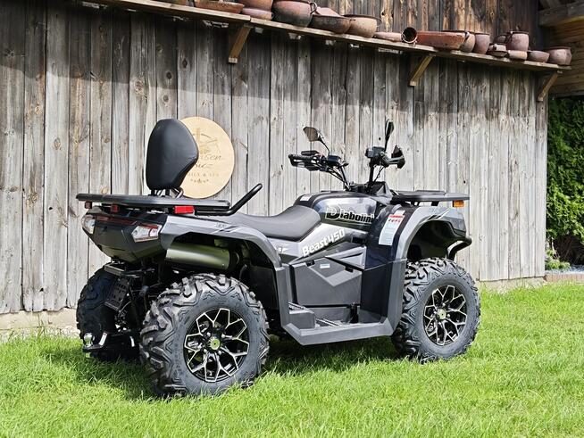 Diabolini Inny DIABOLINI BEAST 450 L Quad dużych rozmiarów 4x4 wspomaganie serwis