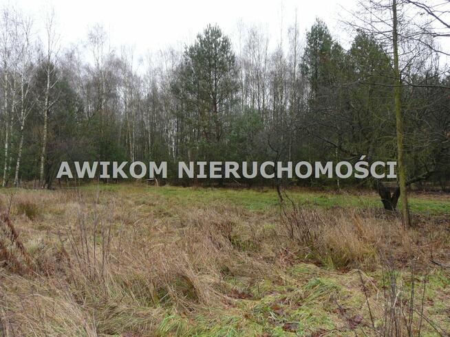 Działka rolna Skierniewice