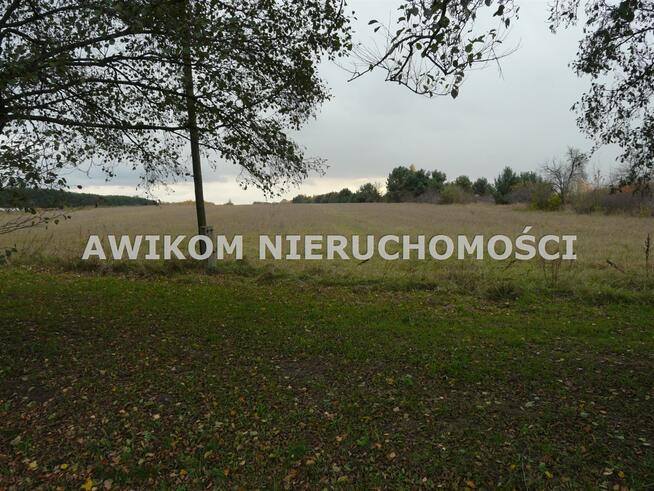 Działka siedliskowa Lisowola gm. Puszcza Mariańska