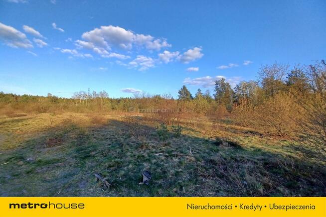 DUŻY TEREN INWESTYCYJNY 6800 m² CHOSZCZÓWKA