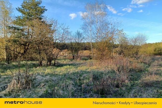 DUŻY TEREN INWESTYCYJNY 6800 m² CHOSZCZÓWKA