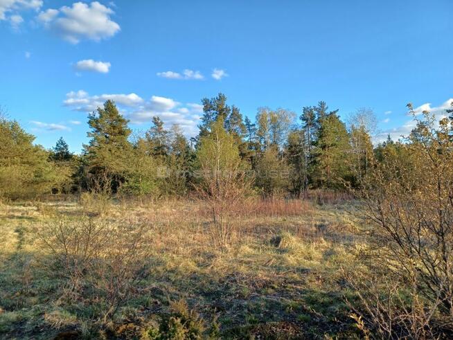 DUŻY TEREN INWESTYCYJNY 6800 m² CHOSZCZÓWKA