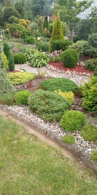 Sprzedam działkę ROD z klimatycznym ogrodem i szklarnią