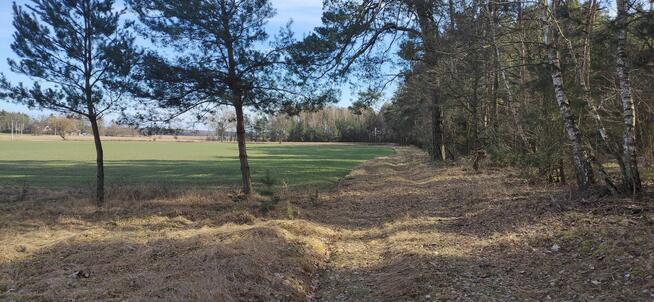 Dom przy lesie+działka 1700m