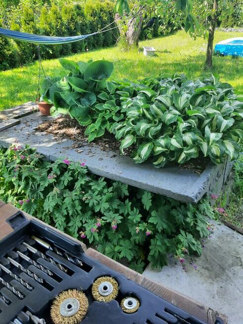 Dzialka ROD Nowy Start