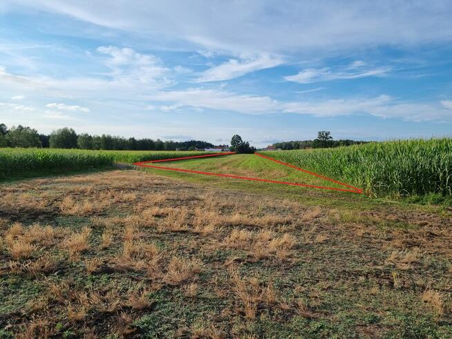 Działki budowlane w miejscowości Adelin, gm. Zabrodzie