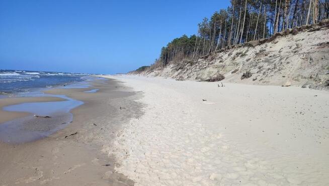 Domek przy dzikiej plaży z boćkiem na łące. Cisza.