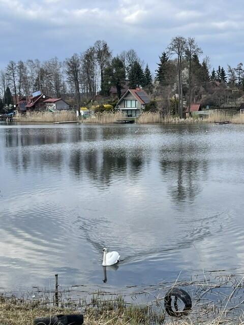Domek nad Jeziorem Wulpińskim - Majdy Wyspa