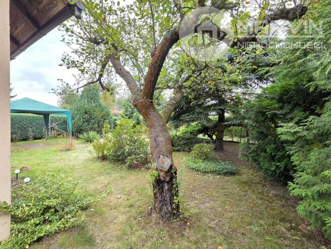 Piękny ROD (300m2) z Domkiem (26m2/5m wys.) !!!
