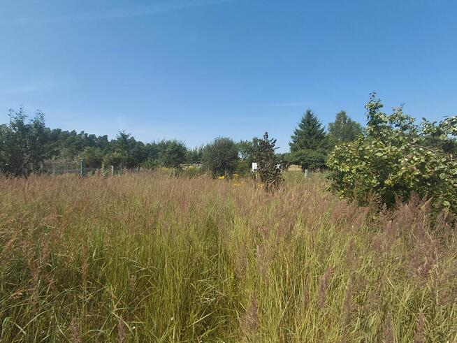 Działka na sprzedaż Zawroty, Morąg