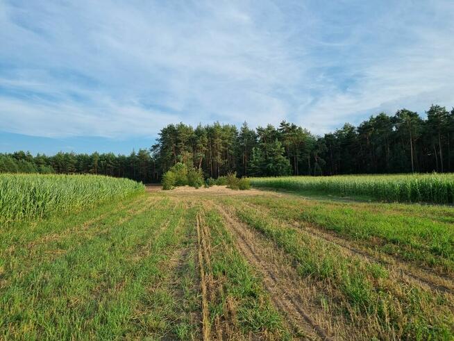 Działki budowlane w miejscowości Adelin, gm. Zabrodzie