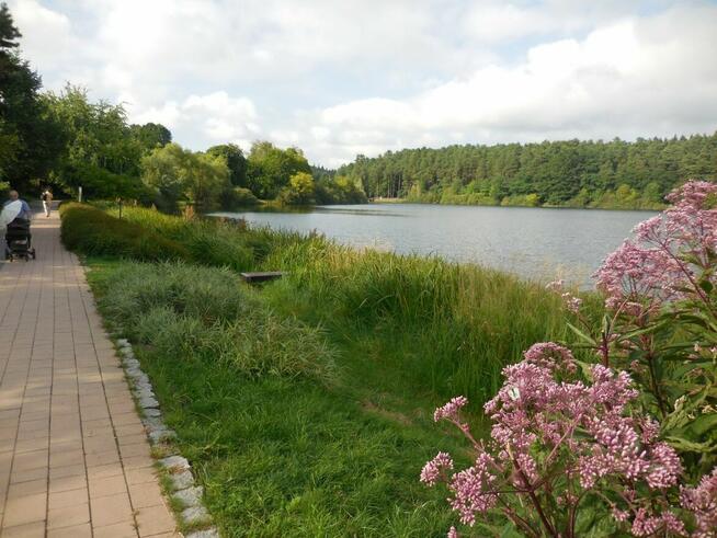 Wyjątkowy apartament nad Jeziorem Długim, ul. Leśna
