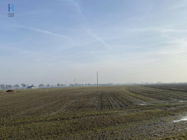 Działka rolna Uniejów, Polna