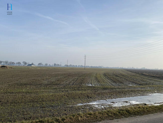 Działka rolna Uniejów, Polna