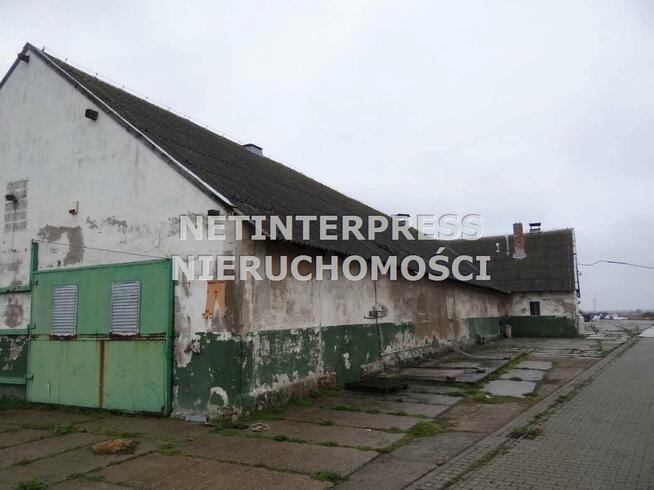 Lokal użytkowy Poznań gm. Stęszew Modrze