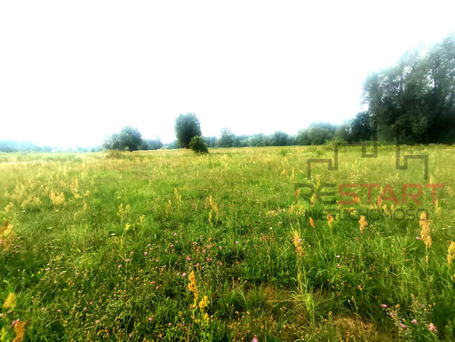 Działka budowlana Budy Zosine gm. Jaktorów,