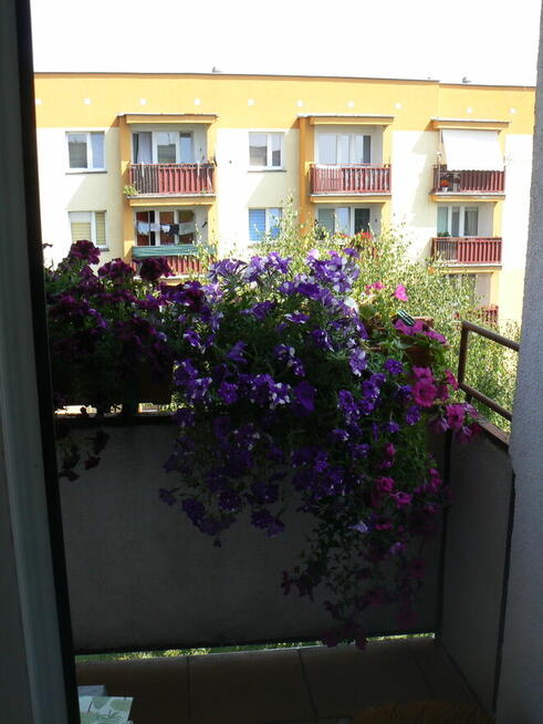 3 pokoje 60,5 m² + murowany garaż | Rejowiec Fabryczny