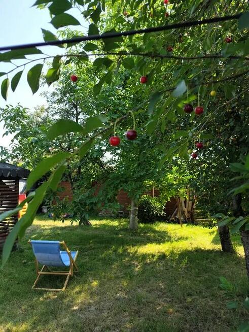 Działka ROD Pogodny w Kaliszu — 500 m², idealna dla rodziny