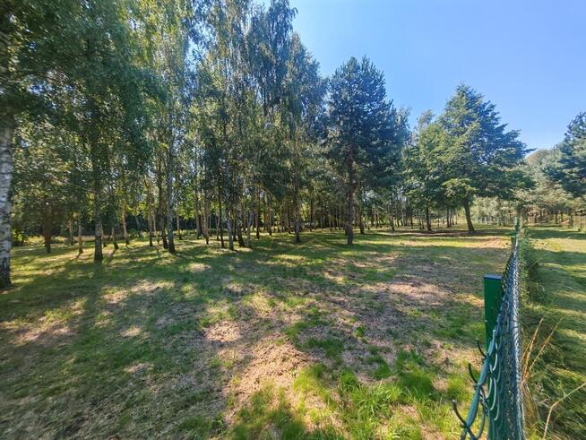 Madajka raj na krańcu świata