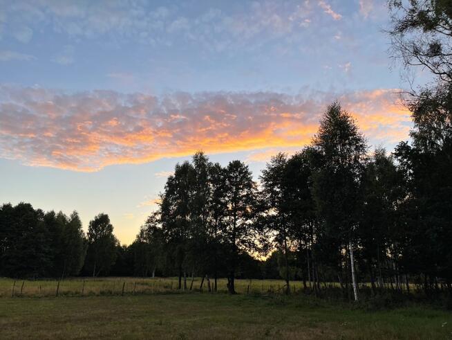 Działka leśna w pięknej okolicy
