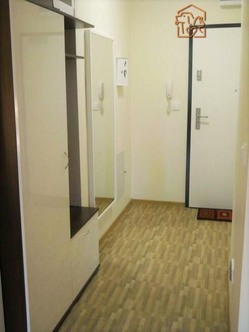 Kawalerka, 37 m2, pet-friendly - Gwiaździsta 10